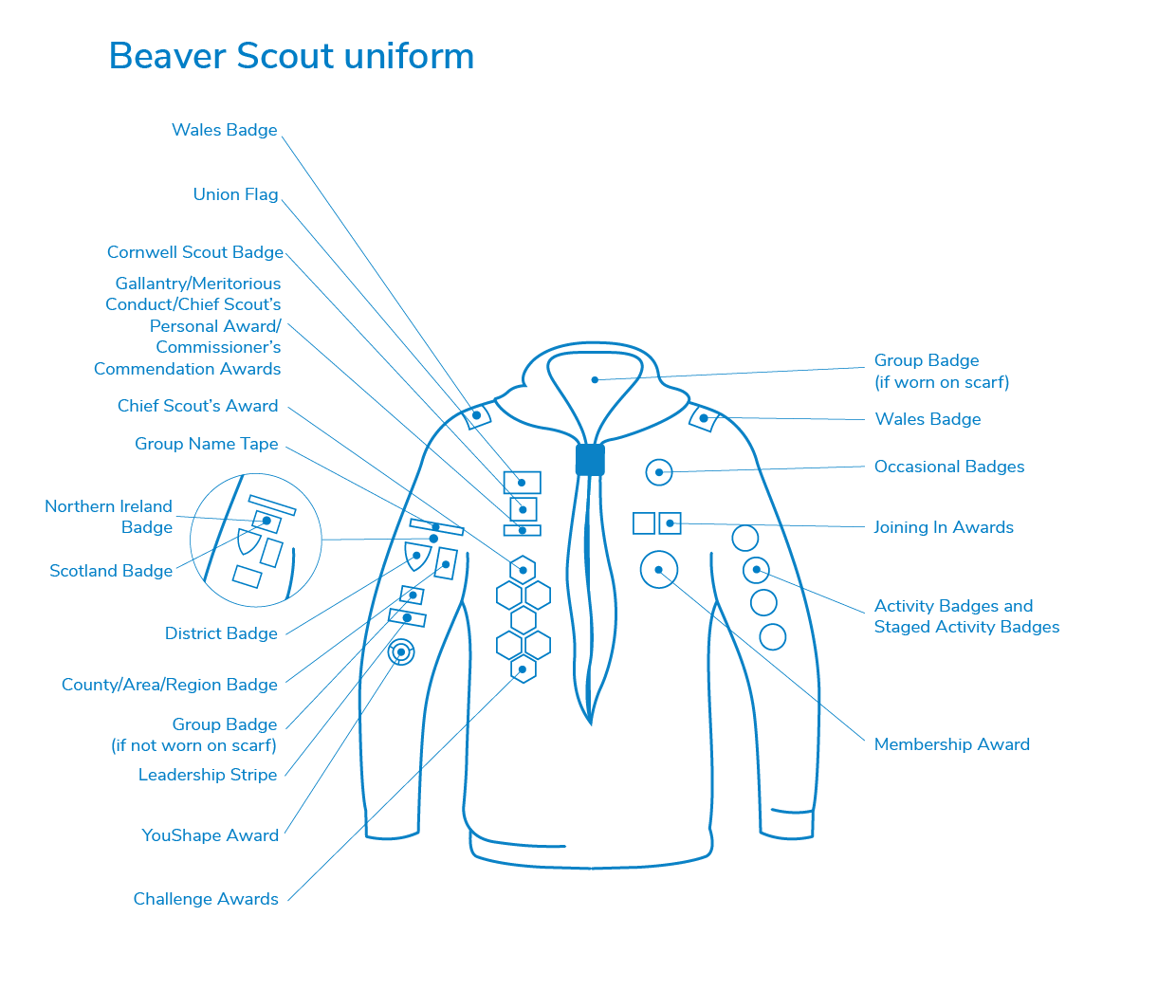 Beaver Badge Positions